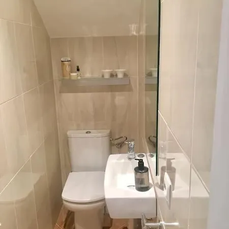 Experience Beautiful Duplex Penthouse With Terrace In Apartment *